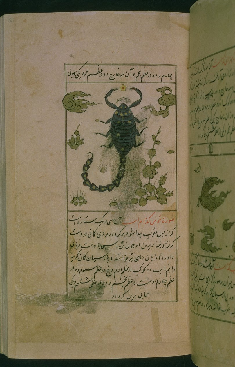 星座：天蝎座，蝎子，来自Talim dar marifat i taqvuim，1498（903 Hijra）（墨水） 作者 阿布贾法尔·塔巴里（Abu Jafar al Tabari）