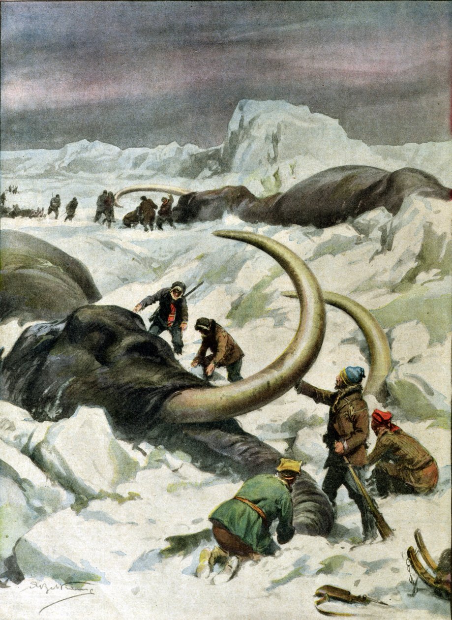 在西伯利亚发现冷冻猛犸象，插图来自&39;Corriere della Sera&39;，1934年12月9日 作者 阿基里·贝尔特拉姆（Achille Beltrame）
