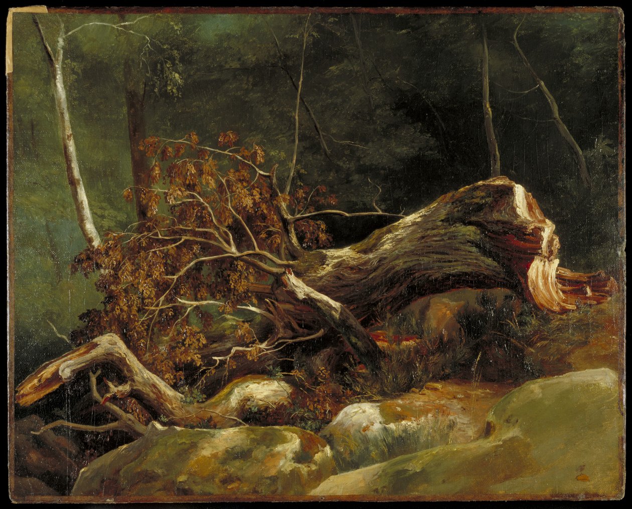 堕落的分支，枫丹白露，1816年（卡片上的油画） 作者 阿喀琉斯埃特纳火山
