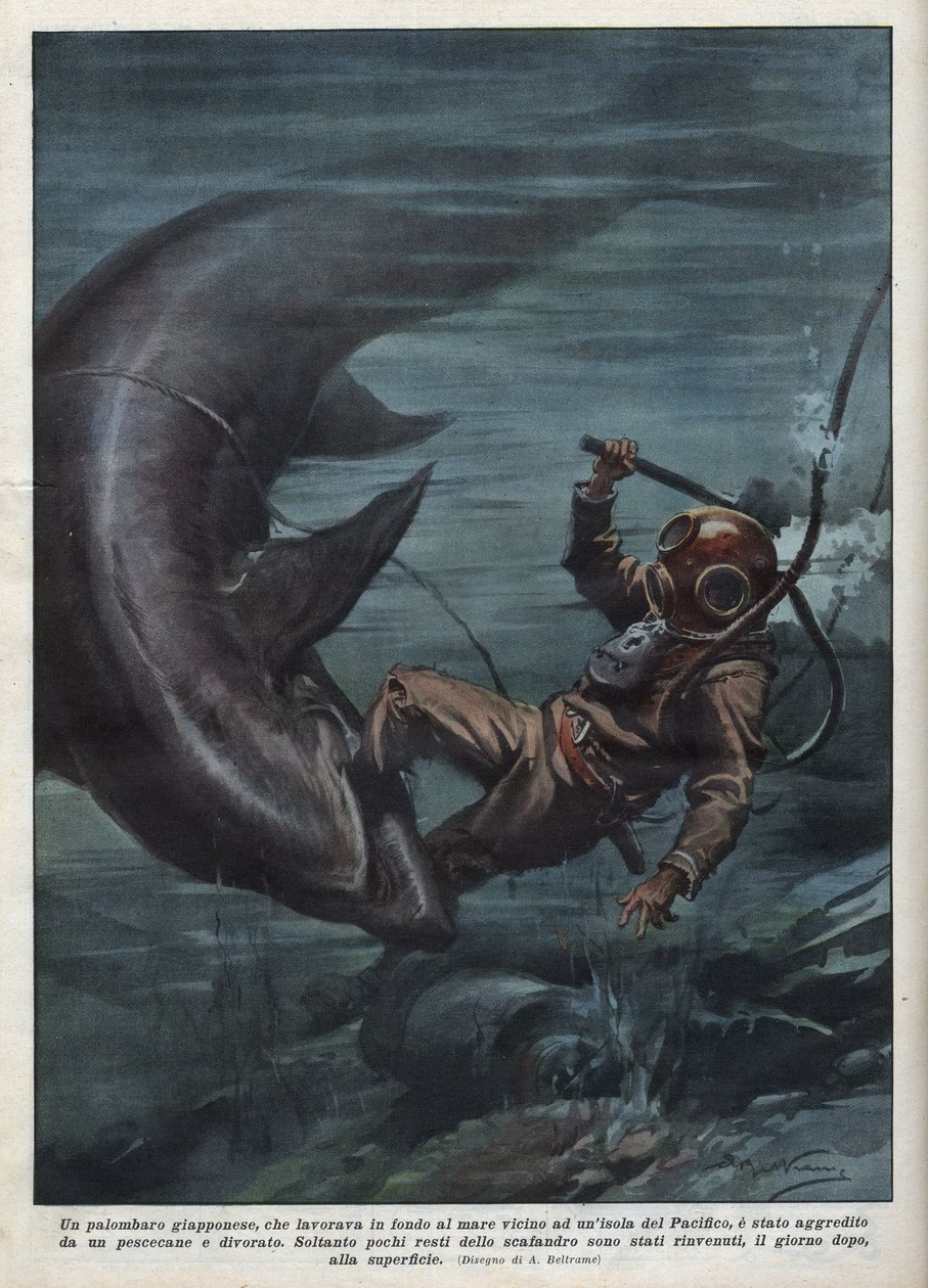 A Japanese diver with a scaphandler was devoured by a shark in the Pacific Ocean. Illustration by Achille Beltrame from “La domenica del corriere”” of 08/08/1937. 作者 阿基里·贝尔特拉姆（Achille Beltrame）