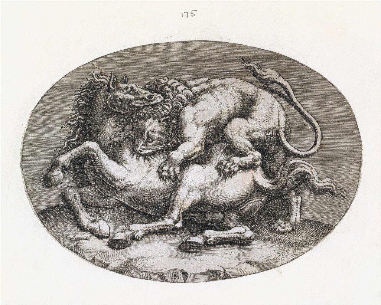 Speculum Romanae Magnificentiae：狮子攻击马，约1540-80。 作者 阿达莫·史托里（Adamo Scultori）