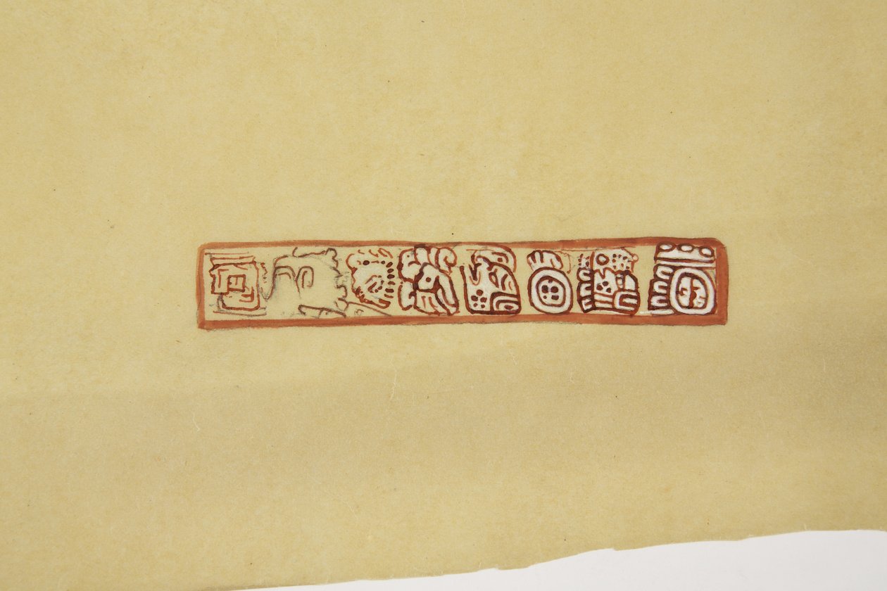 设计从一个锅里出来伯利兹（前英属洪都拉斯）在描图纸上制作（水彩）。 作者 阿黛拉·布雷顿（Adela Breton）