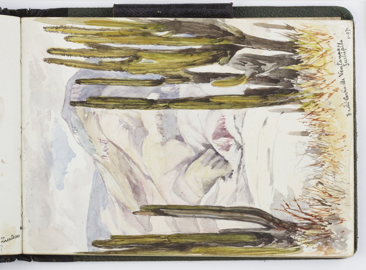 水彩速写本，素描和笔记，墨西哥，1896-1898 年（水彩） 作者 阿黛拉·布雷顿（Adela Breton）