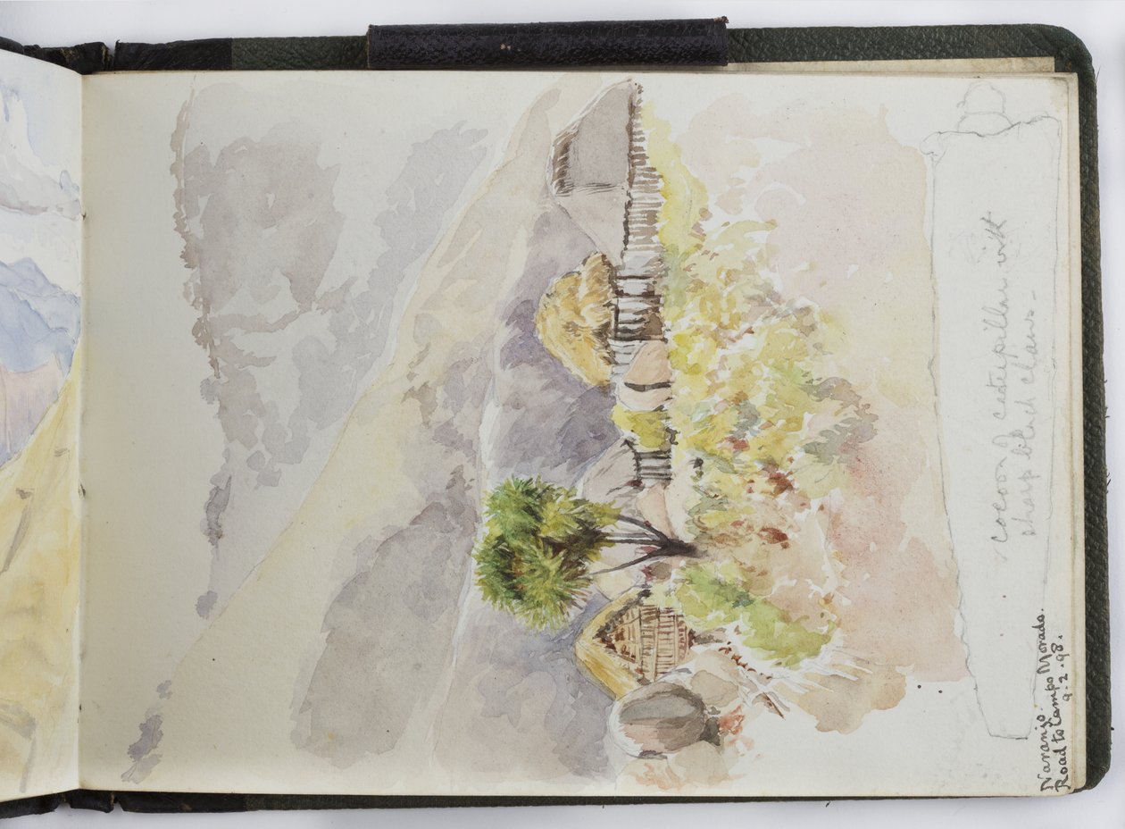 水彩画素描本，画作和笔记，墨西哥，1896-1898（水彩）。 作者 阿黛拉·布雷顿（Adela Breton）