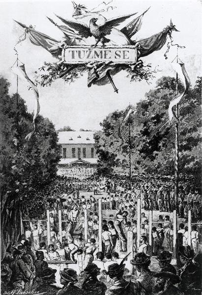Tuzmese"（努力），在布拉格举行的第一次Sokols会议 作者 阿道夫（后）利布舍尔
