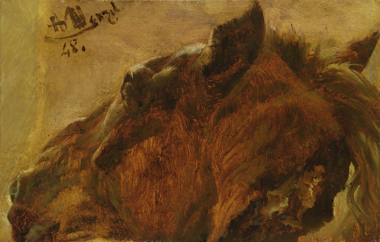 1848年死马头（画布上油画） 作者 阿道夫门泽尔