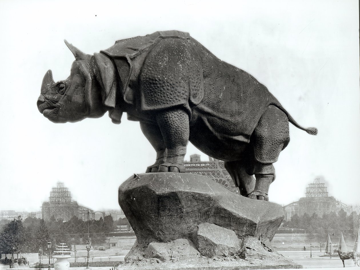 犀牛，1878年，由阿尔弗雷德·雅克马特（1824-96）在特罗卡德罗宫前，为世界博览会（1878年）建造，巴黎，1888年 作者 阿道夫·吉拉顿（Adolphe Giraudon）