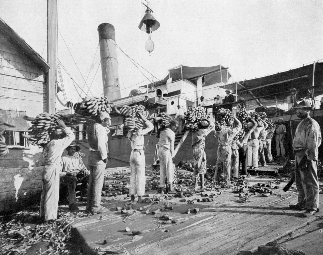 装香蕉，牙买加安东尼奥港，约1905年。 作者 阿道夫·杜珀利和儿子