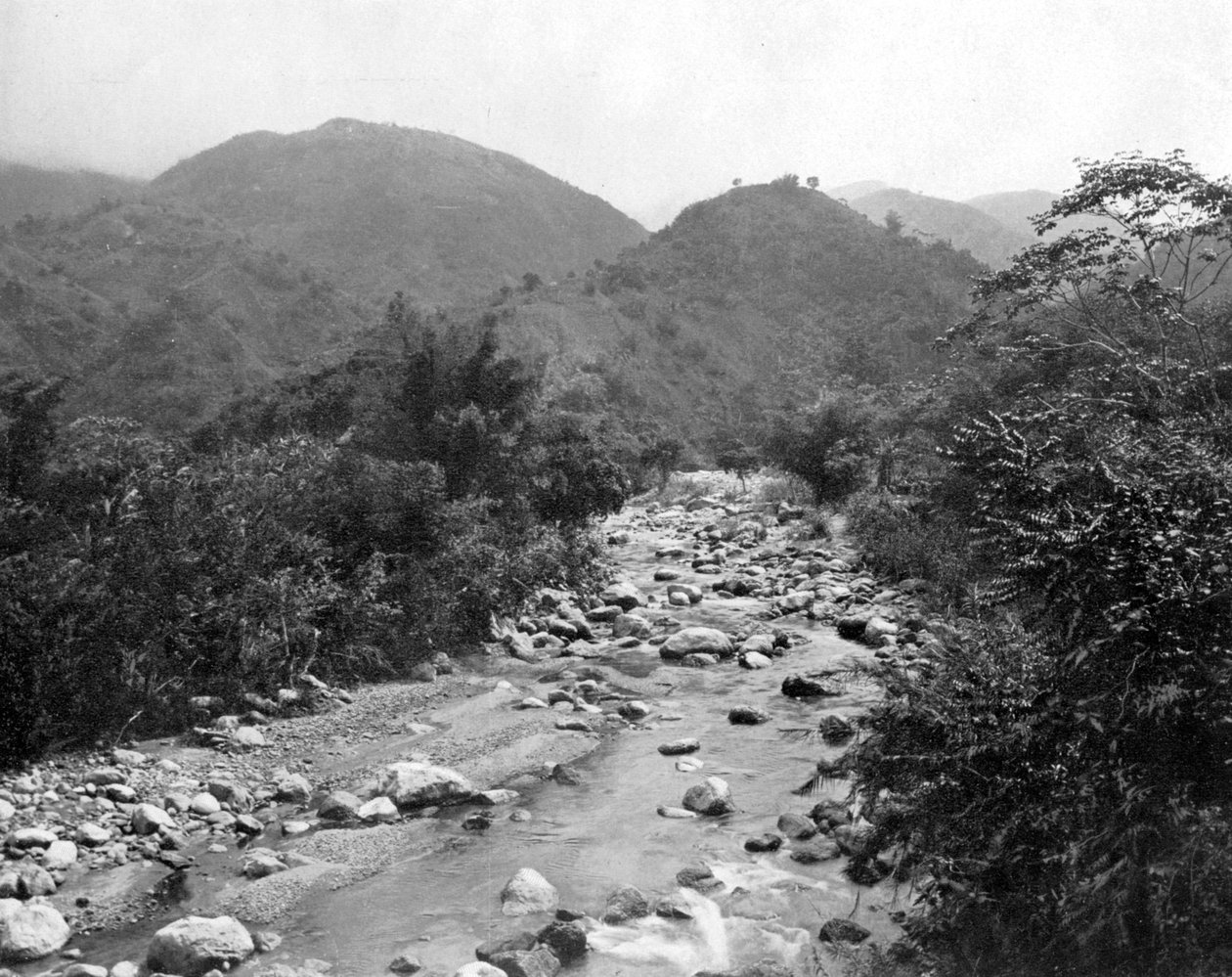 瓦格河，牙买加卡斯尔顿，摄于1905年。 作者 阿道夫·杜珀利和儿子