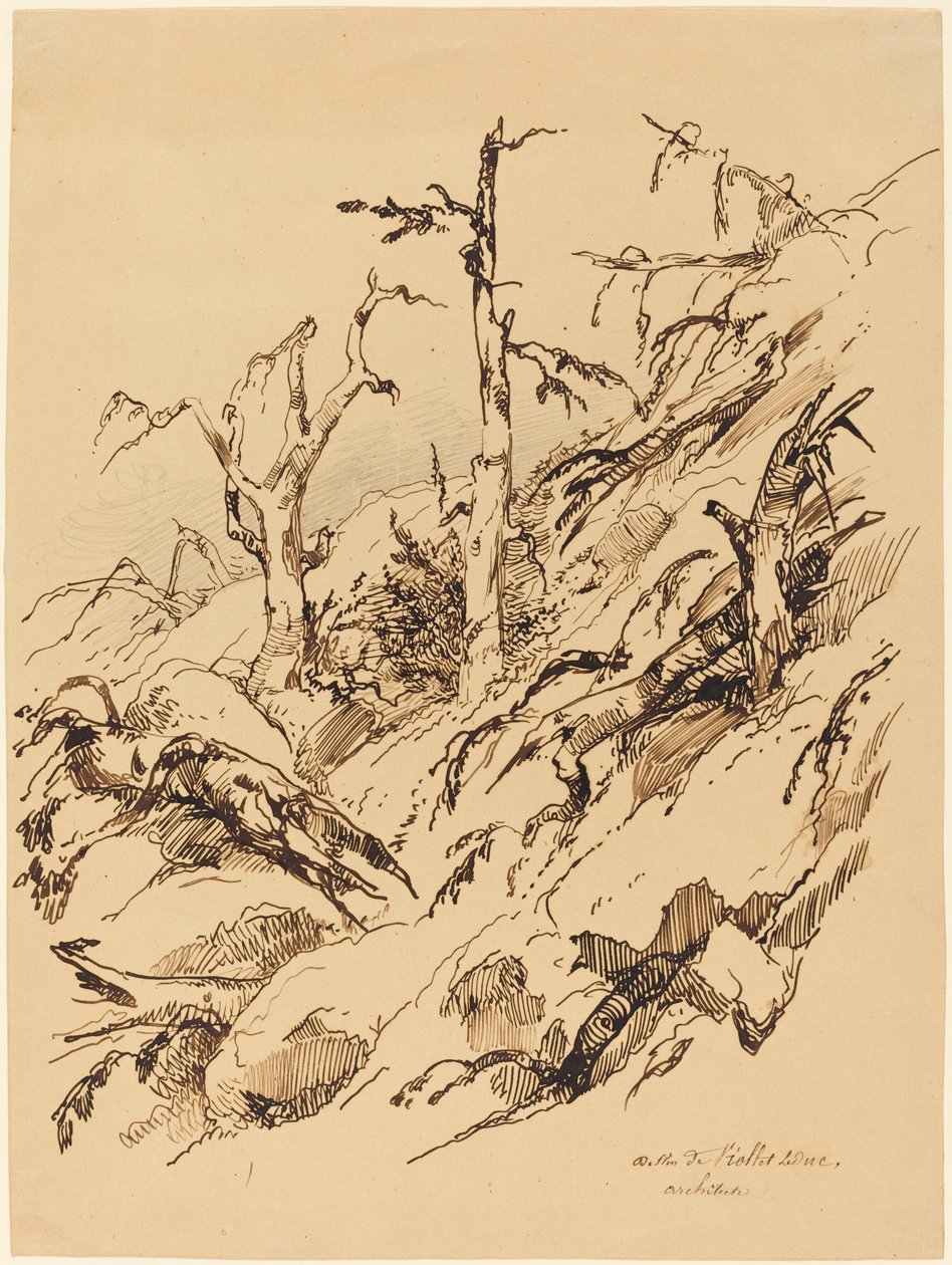 山坡上的枯萎和死亡的树木 作者 Adolphe Etienne Viollet Le Duc II