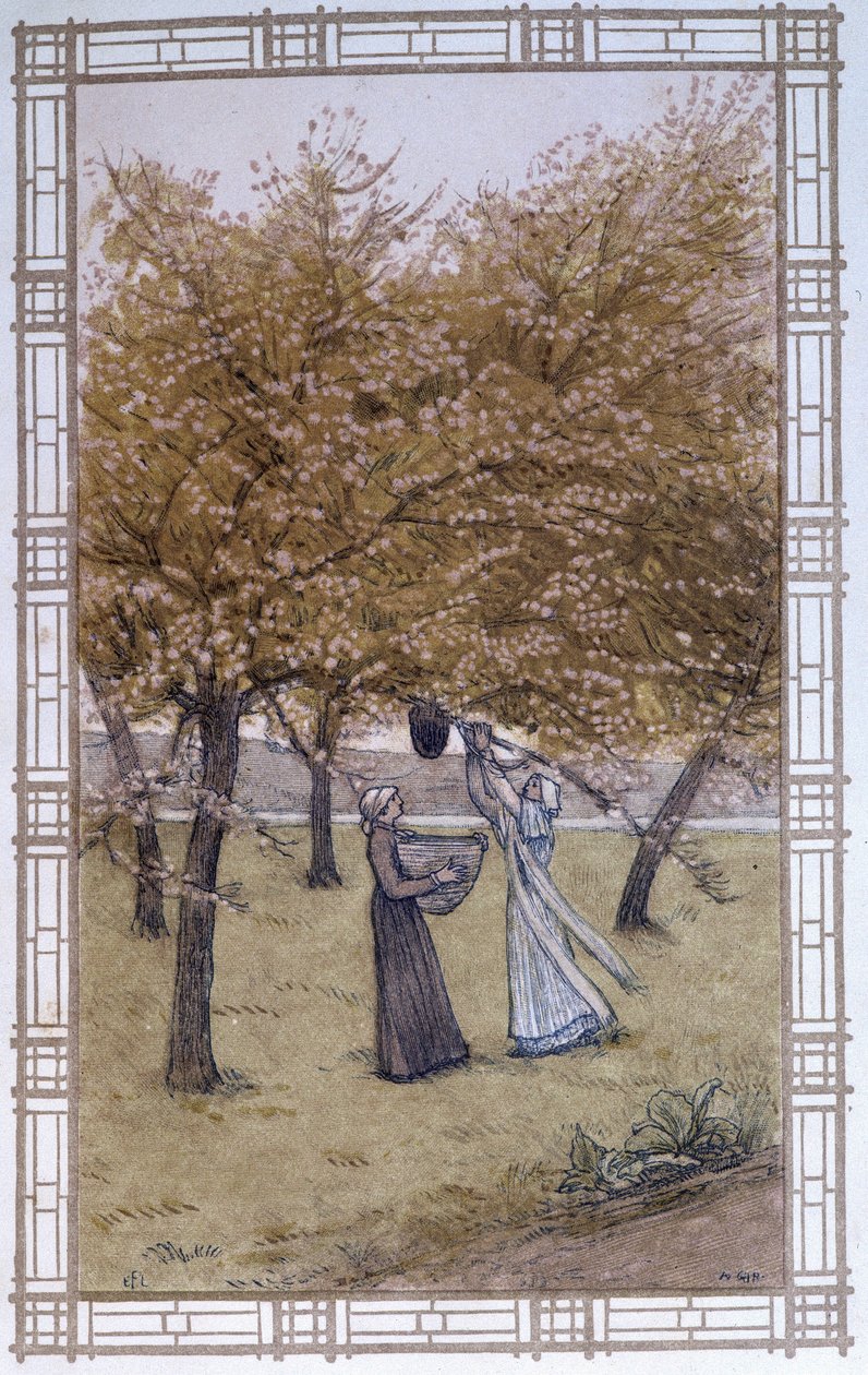 蜜蜂的生活：蜂群的摊位 - A. Giraudon 的画作 作者 阿道夫·吉拉顿（Adolphe Giraudon）