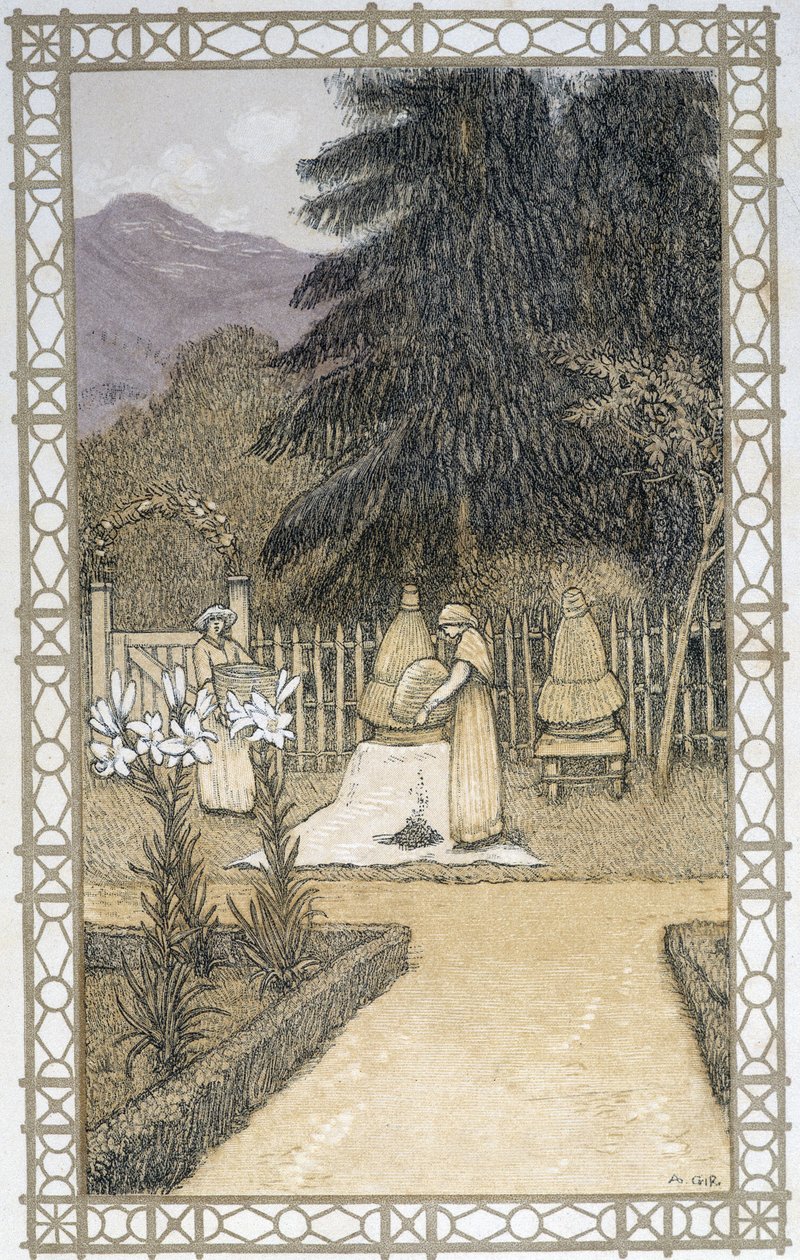 蜜蜂的生活：养蜂的工作--A. Giraudon的绘画作品 作者 阿道夫·吉拉顿（Adolphe Giraudon）