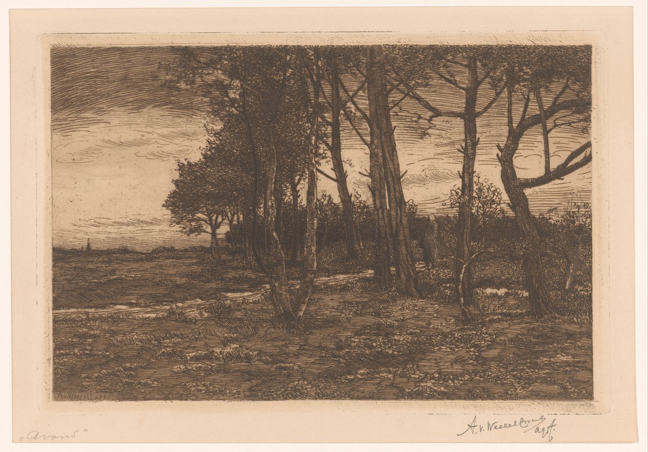 有树的风景
傍晚 作者 Adolphe PH J. van Weezel Errens（艺术家签名）