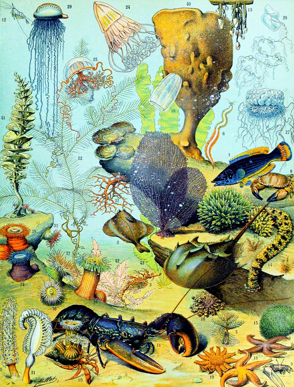 一个水下的场面c.1923的例证 作者 阿道夫·菲利普·米洛
