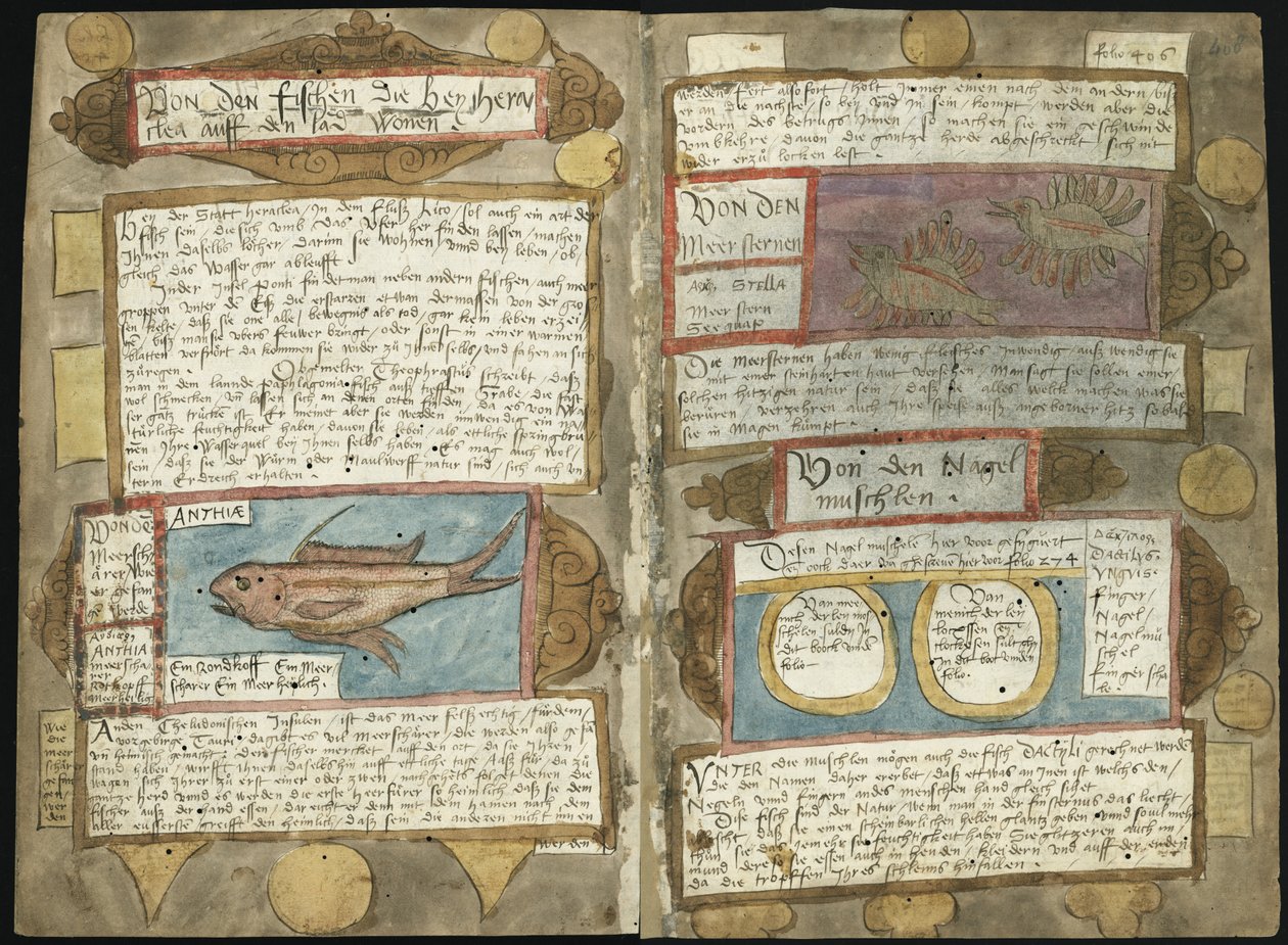 Adriaen Coenen的Fishboeck  -  KB 78 E 54  -  folios 407v（左）和408r（右） 作者 阿德里亚恩·科嫩