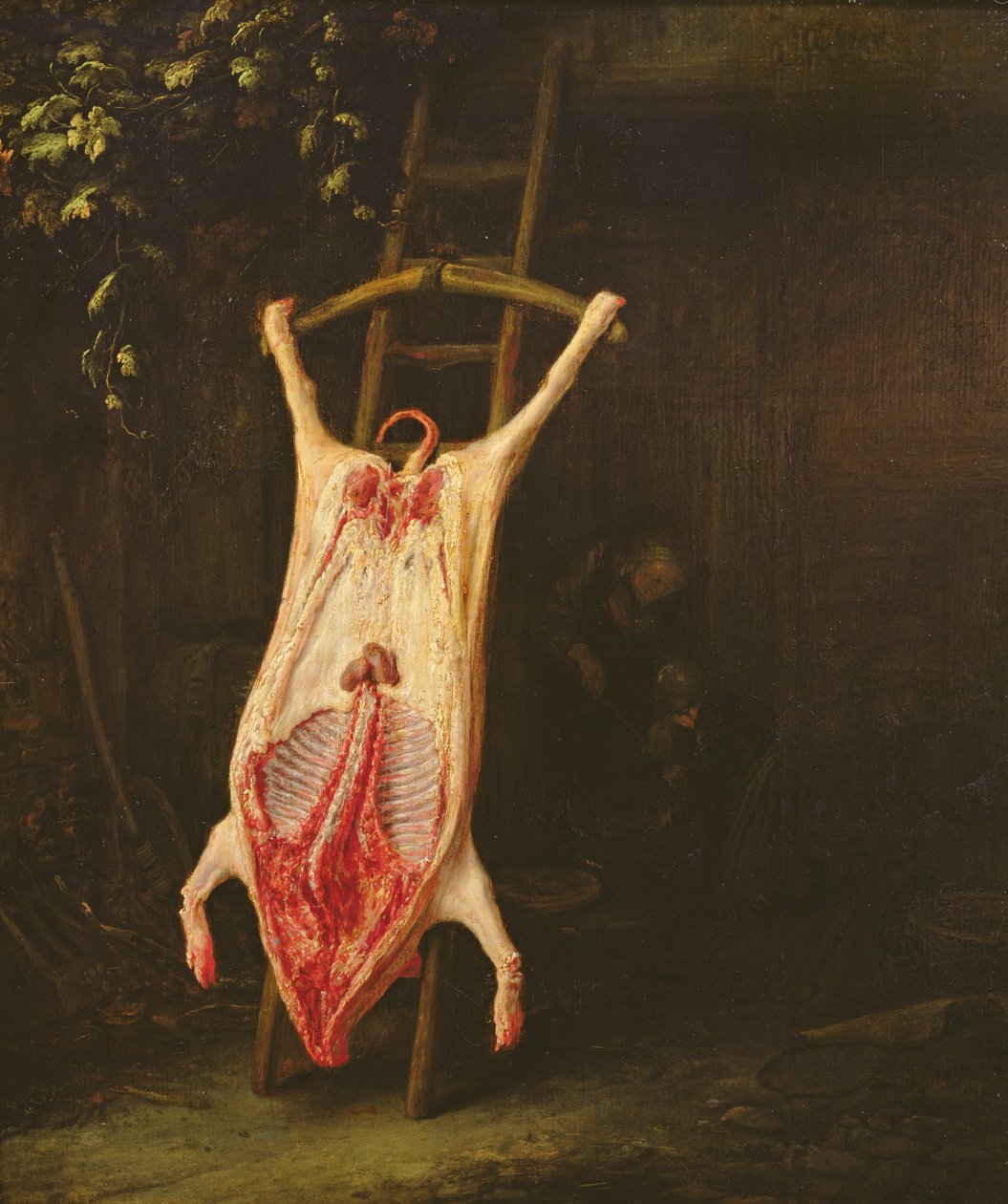 Flayed Pig 作者 阿德里亚恩·扬斯（Adriaen Jansz）。范·奥斯塔德