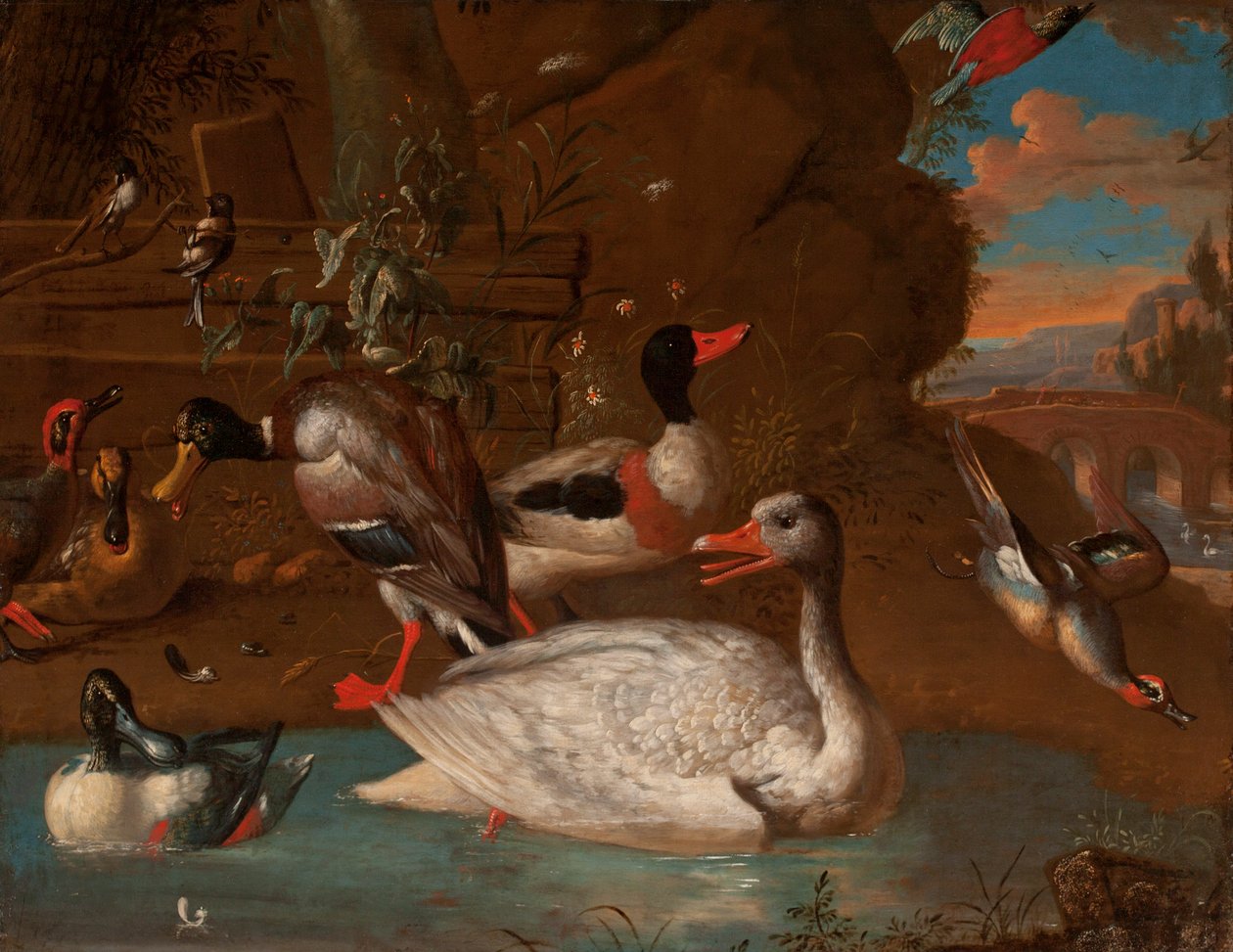 挪威白鹅在1703年的暮光之城的意大利风景中被Shelduck，野鸭，琵琶，小鸭和长尾山雀包围 作者 阿德里亚恩·范·奥伦