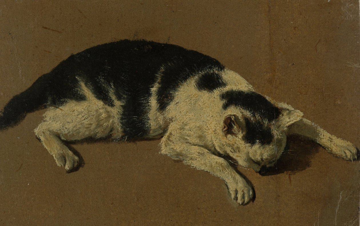猫躺着（油画笔） 作者 阿德里亚恩·范·德·韦尔德