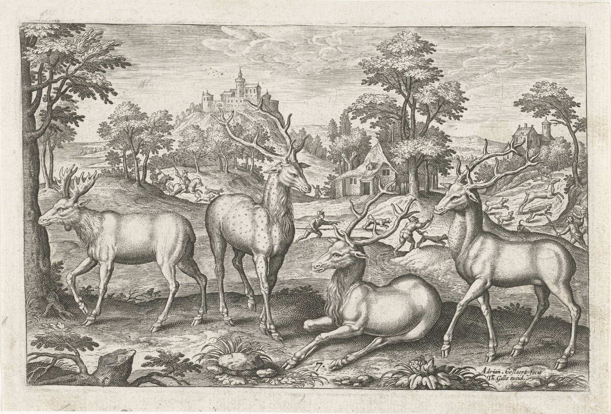 鹤腾
Vierpotige dieren（系列名称）
Animalivm Qvaddrvpedvm（系列名称） 作者 阿德里亚恩·科拉特
