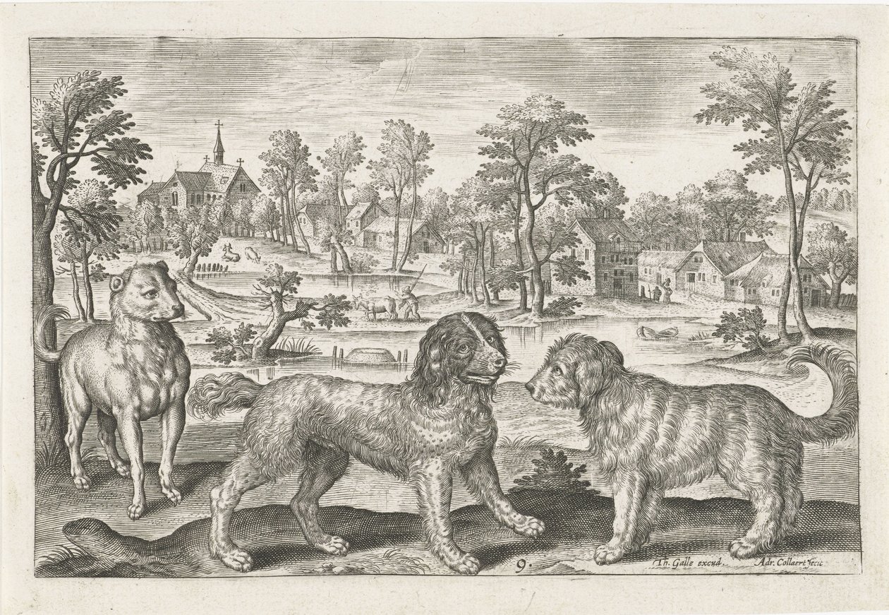 Honden
Vierpotige dieren（系列名称）
Animalivm Qvaddrvpedvm（系列名称） 作者 阿德里亚恩·科拉特