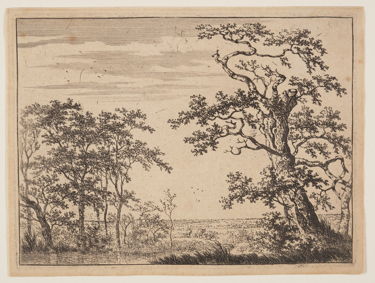 池塘 作者 阿德里亚恩·亨德里克斯（Adriaen Hendricksz）。威宝