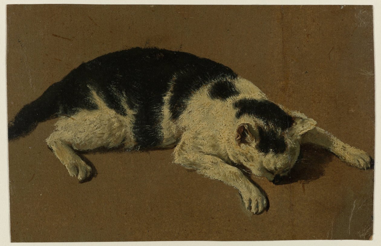 头枕前腿的猫 作者 Adriaen van de Velde（归属于）