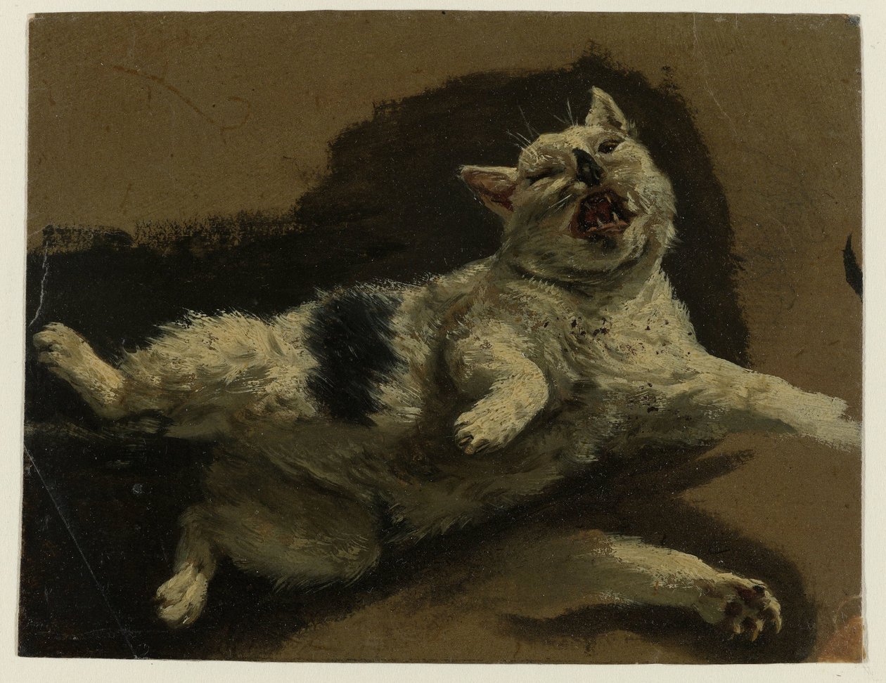 猫仰面躺着，爪子松开 作者 Adriaen van de Velde（归属于）