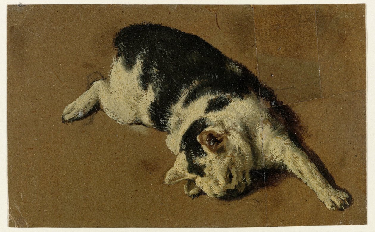 猫侧卧，左前肢伸直 作者 Adriaen van de Velde（归属于）