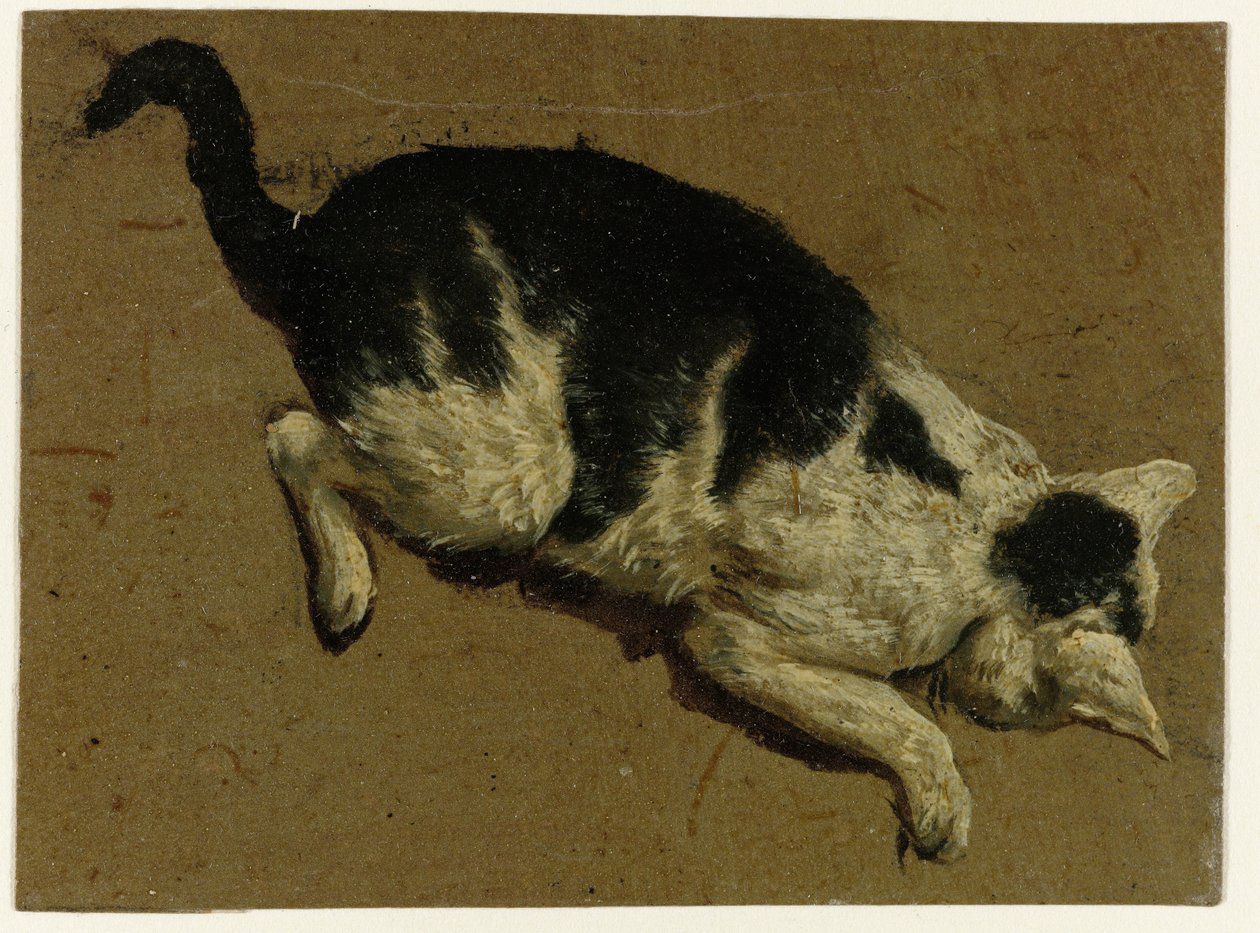 猫从高处往下看 作者 Adriaen van de Velde（归属于）