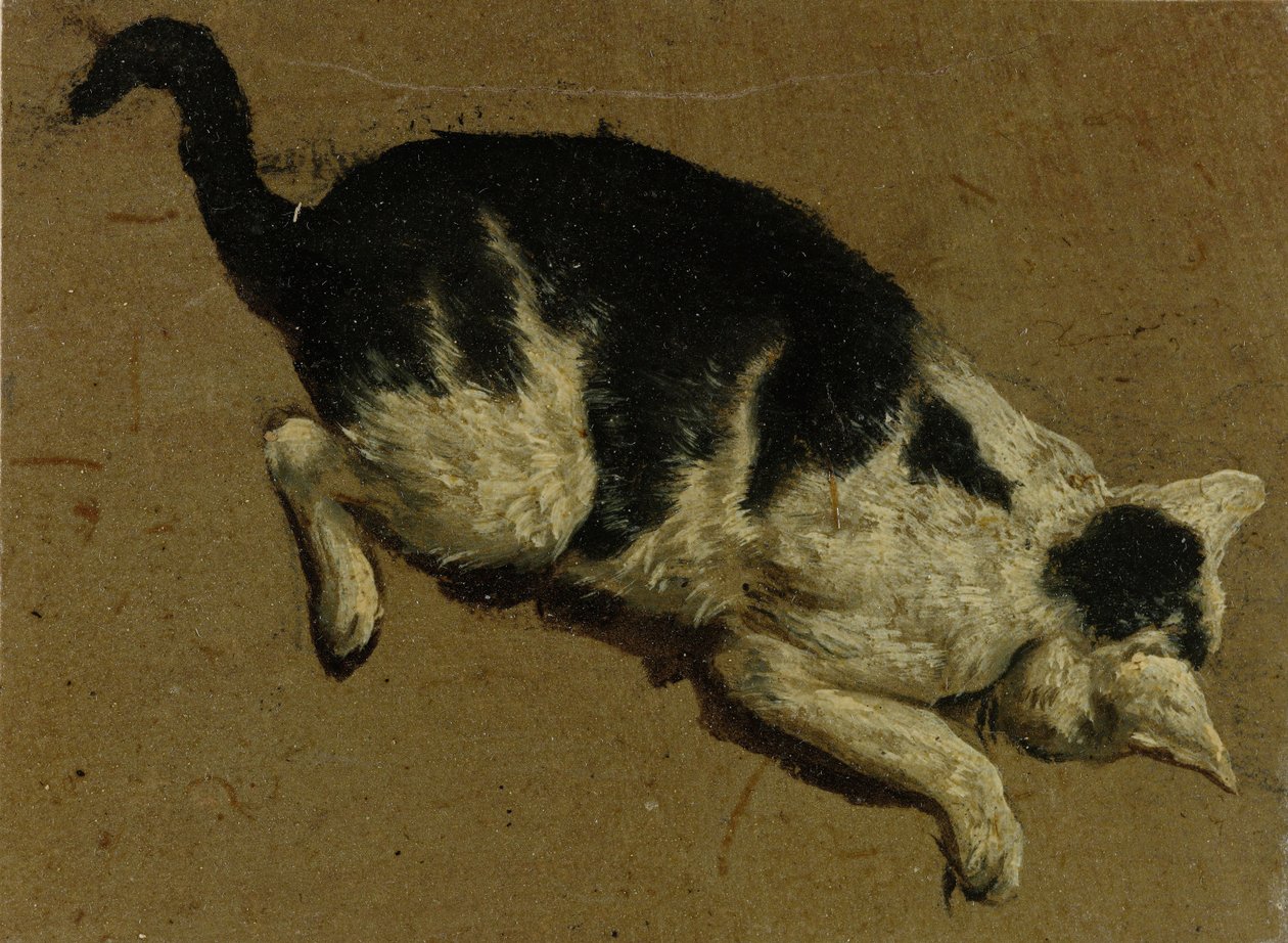 从上面的猫（画笔） 作者 阿德里亚恩·范·德·韦尔德