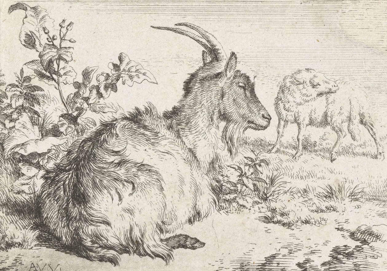 躺着的山羊，1670年 作者 阿德里亚恩·范·德·韦尔德