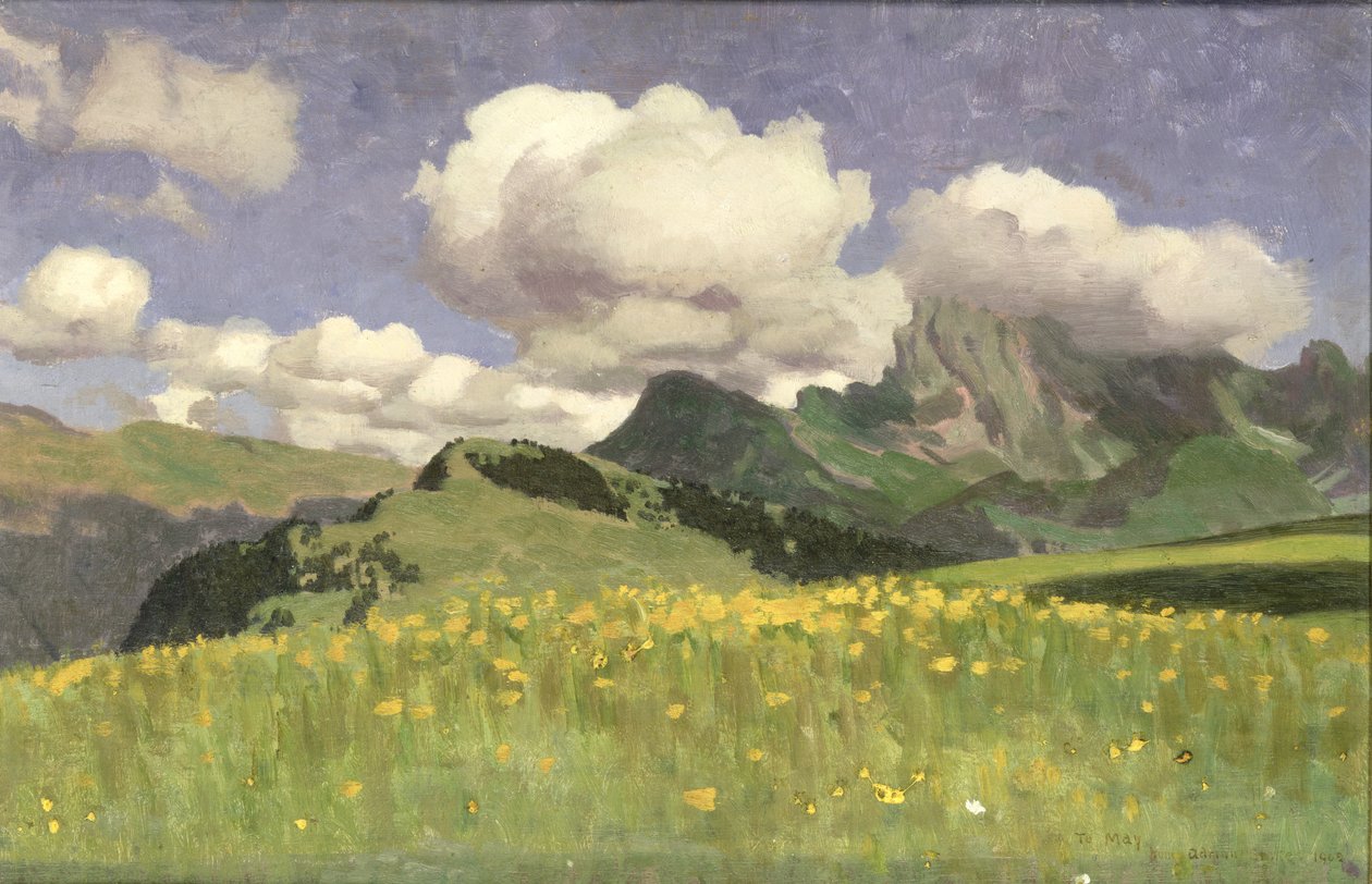 金盏花领域，下阿尔卑斯山，1902年 作者 阿德里安·斯科特·斯托克斯