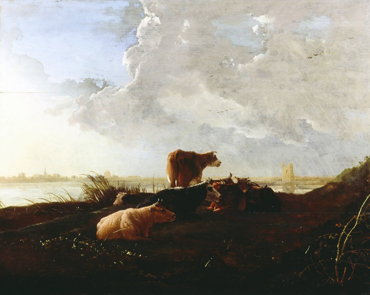河附近的牛 作者 艾伯特·奎普（Aelbert Cuyp）
