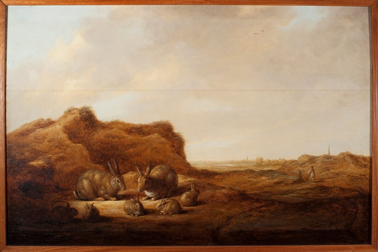 Albert (Aelbert 或 Aelbrecht) Cuyp (1620-1691) 1641-1642 Dim. 绘画的兔子风景。 44x67 cm Genes, Musei di Strada Nuova (ex Palazzo Rosso) 作者 艾伯特·奎普（Aelbert Cuyp）