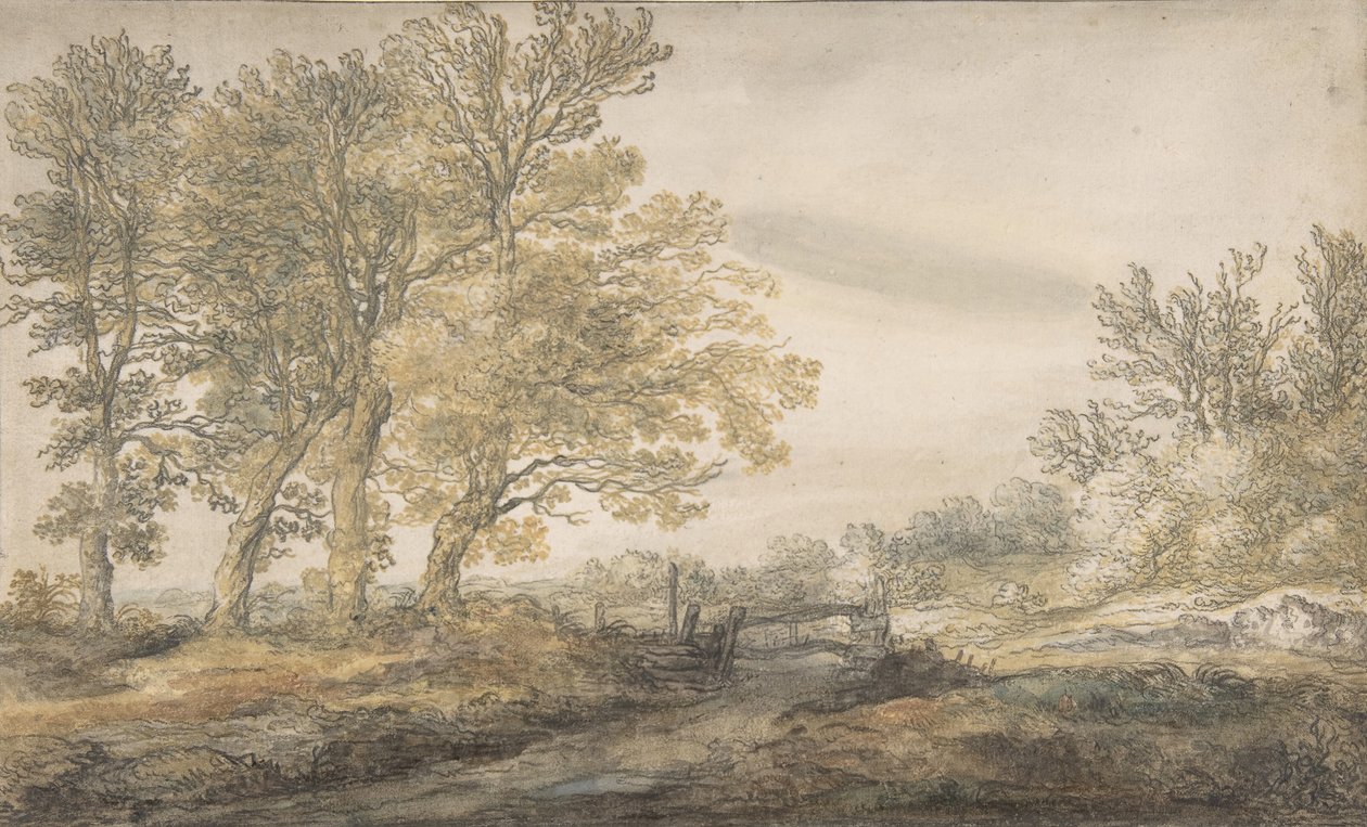 有树的风景，1635-91。 作者 艾伯特·奎普（Aelbert Cuyp）