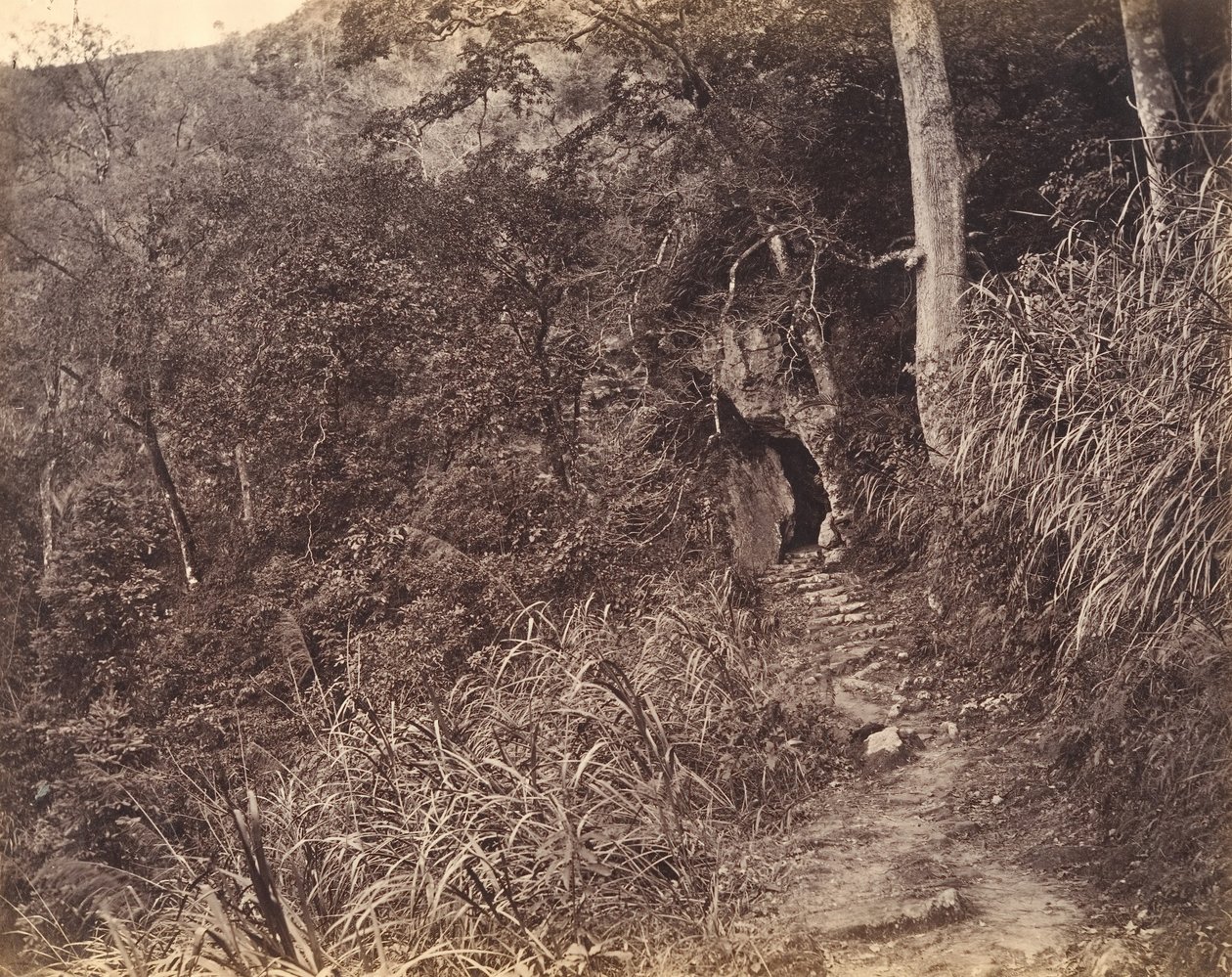 左边 通往圆福寺的路，约1869年。 作者 赖阿芳