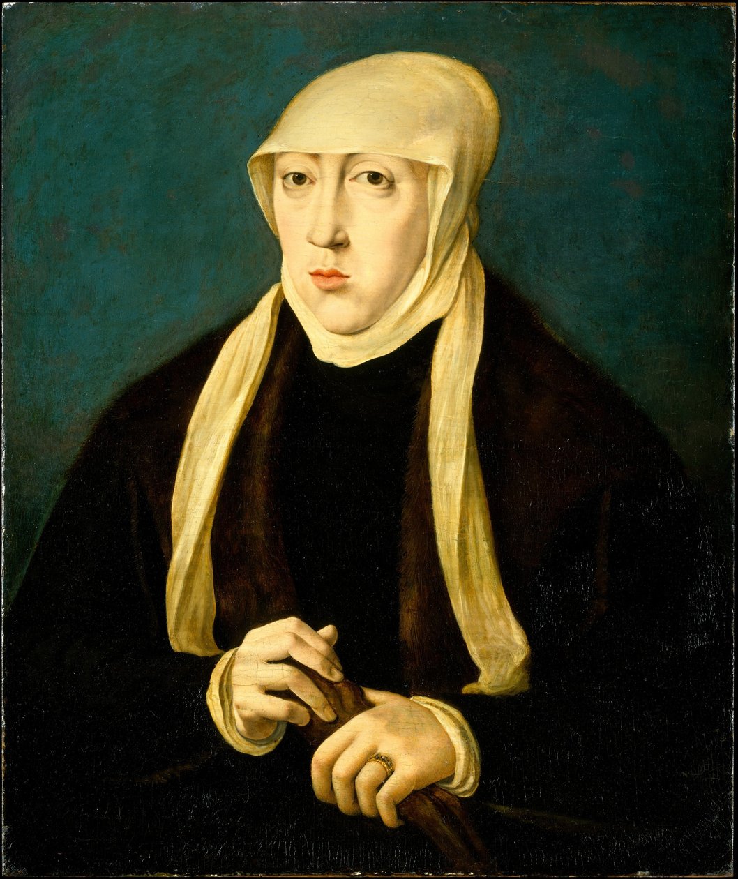玛丽（1505-1558），匈牙利女王 作者 在Jan Cornelisz Vermeyen之后