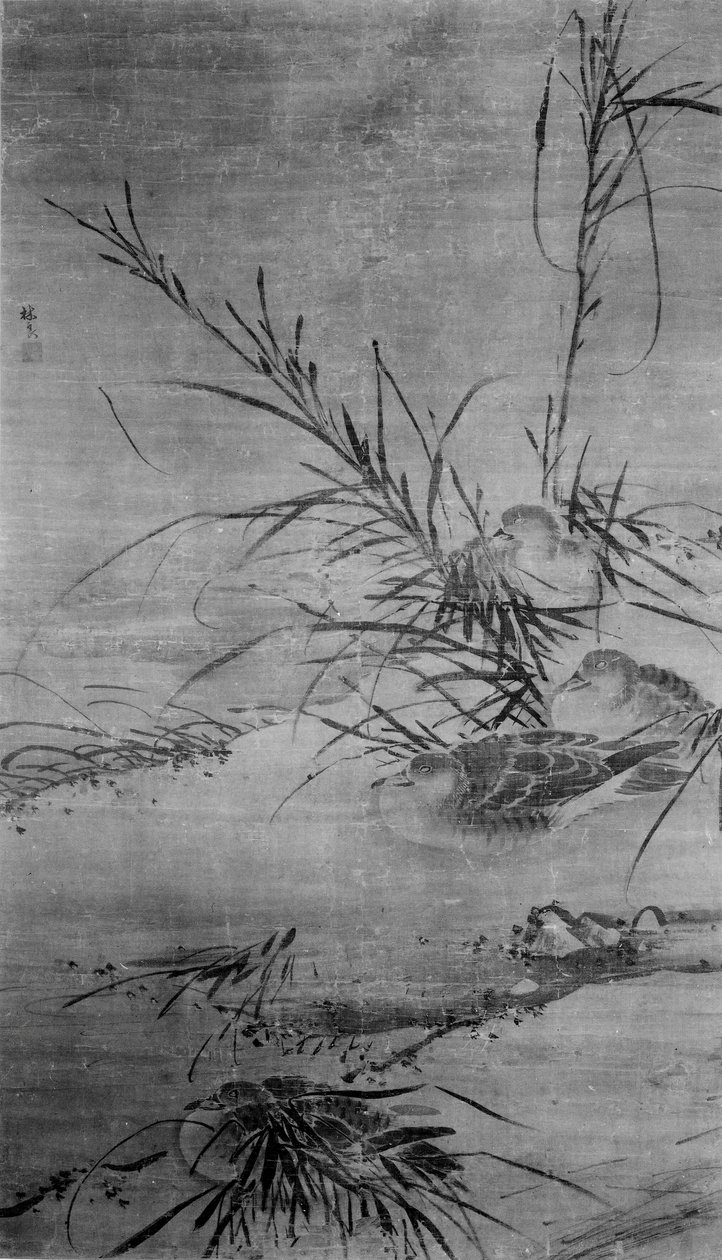 鸭子和芦苇。 作者 林亮之后