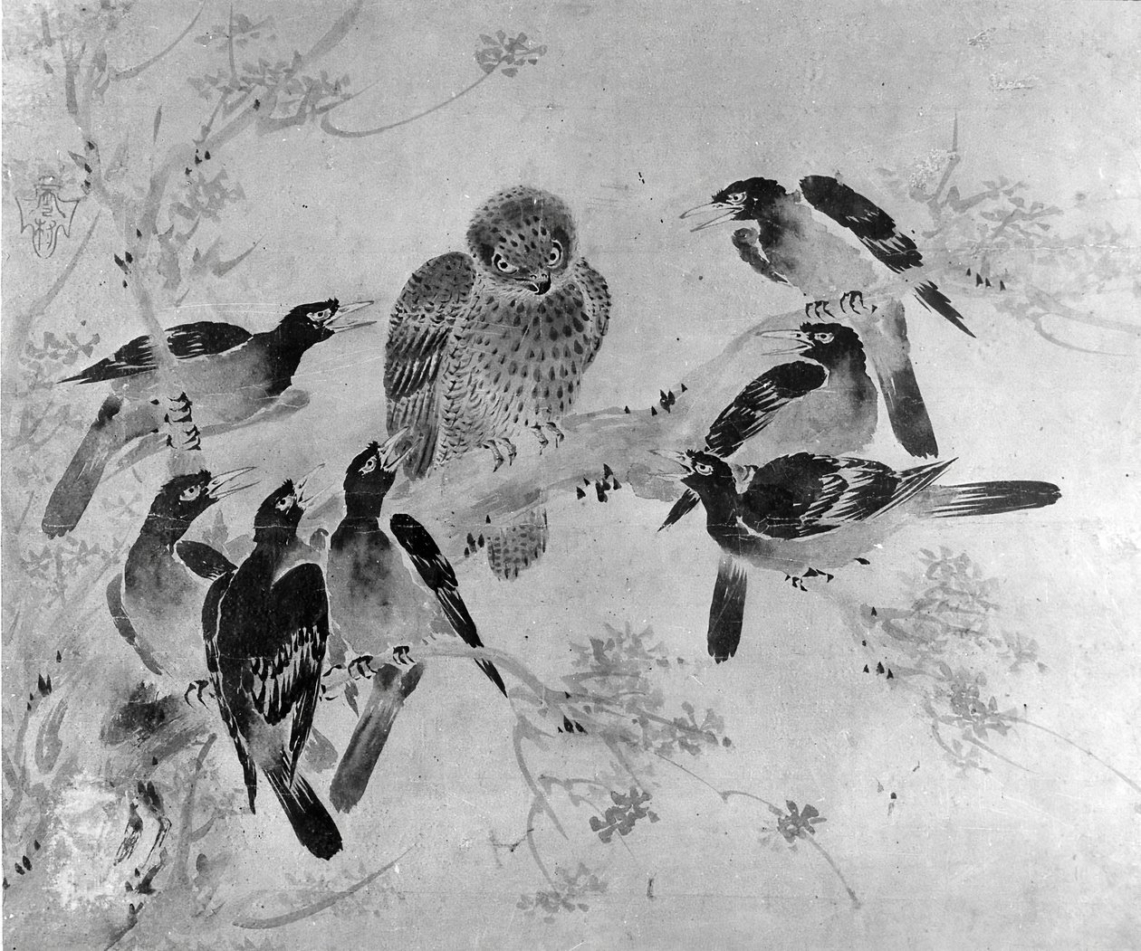 Mynah鸟攻击猫头鹰，可能是19世纪。 作者 会议结束后