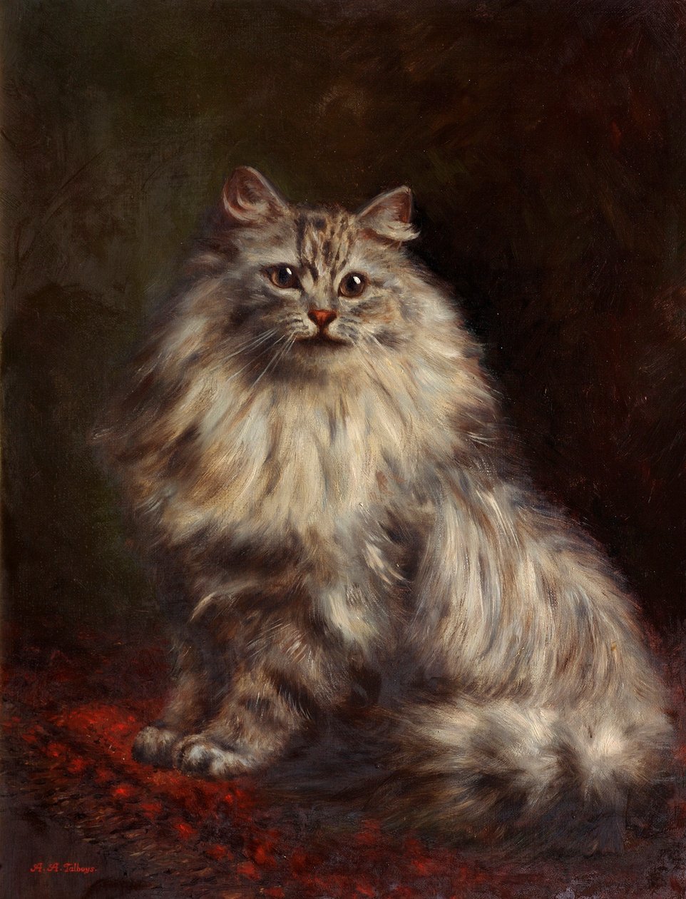 波斯猫，约1908-20年 作者 Agnes Augusta Talboys