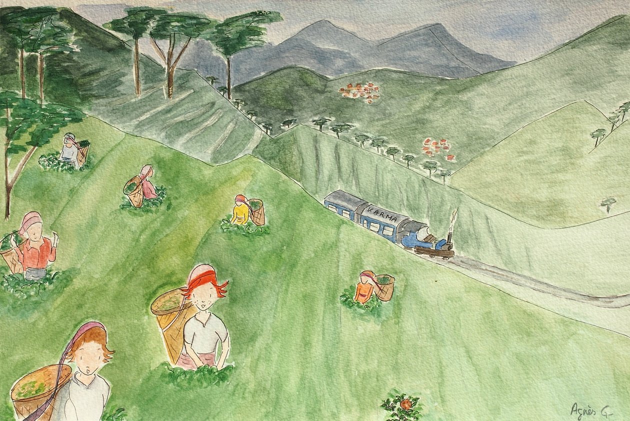 《航行》，大吉岭 2015，纸本水彩 作者 艾格尼丝·吉拉登