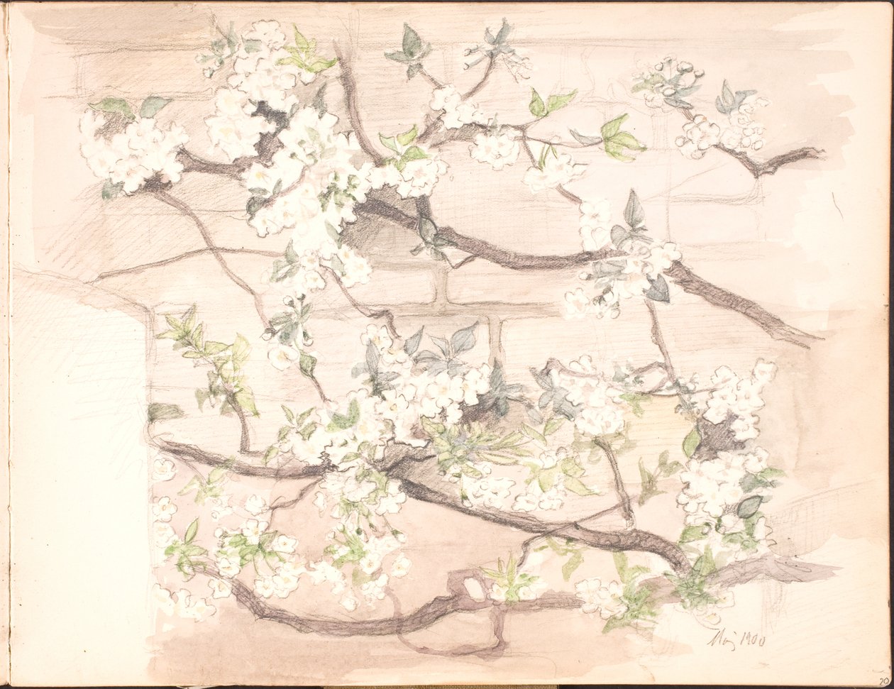 Skitsebog.1899 年 7 月至 1901 年 6 月 作者 艾格尼丝·斯洛特·莫勒