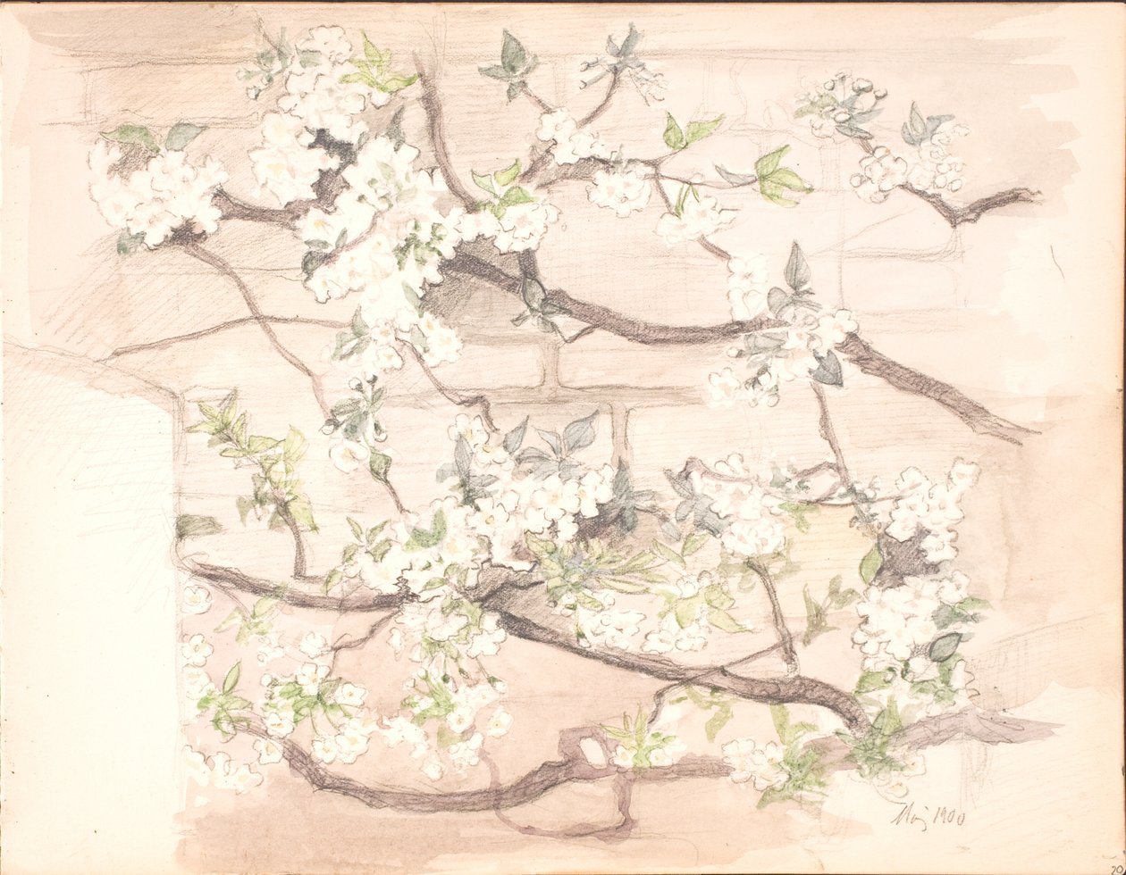 苹果花 作者 艾格尼丝·斯洛特·莫勒