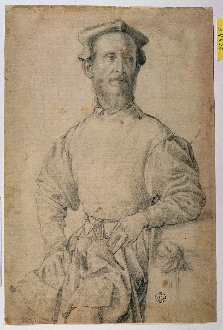 Jacopo Pontormo（1497-1557）的肖像（纸上的黑色粉笔） 作者 Agnolo Bronzino