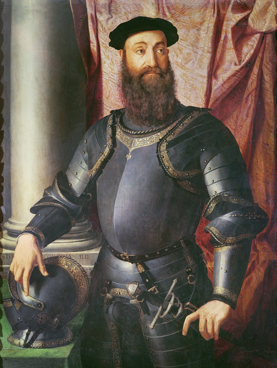 查尔斯五世将军Stefano Colonna的肖像，1546年（木材上的蛋彩画） 作者 Agnolo Bronzino