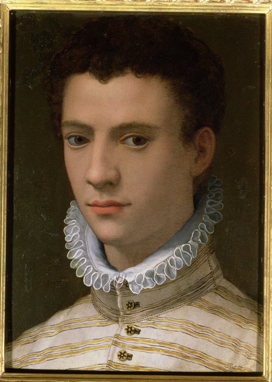 一个年轻人的肖像（铜上的油） 作者 Agnolo Bronzino