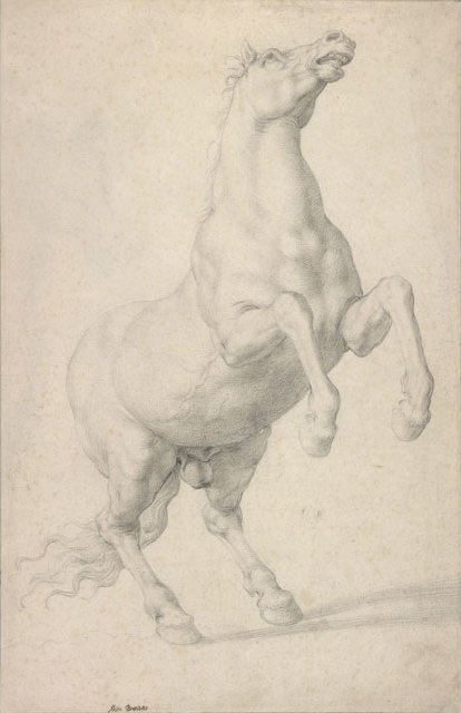 饲养马 作者 Agnolo Bronzino