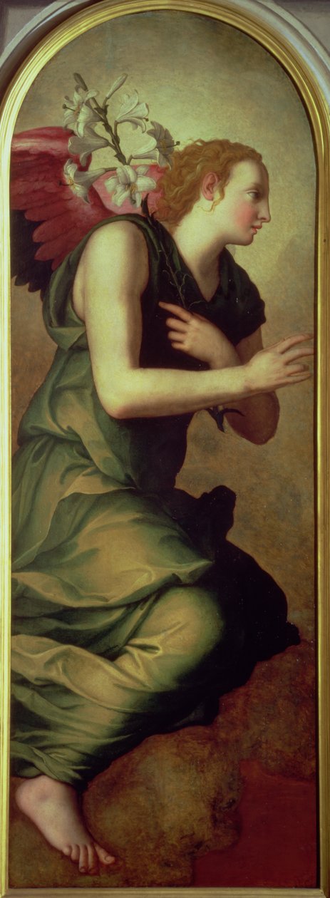 大天使加百列，1555年的天使报喜左手小组（另见82441） 作者 Agnolo Bronzino