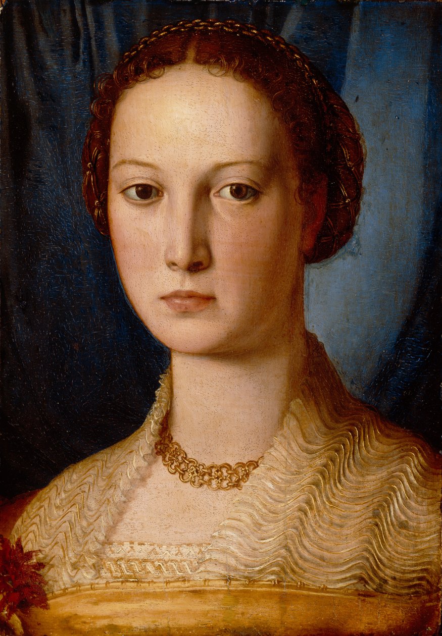 Costanza da Sommaia，c.1540 作者 Agnolo Bronzino