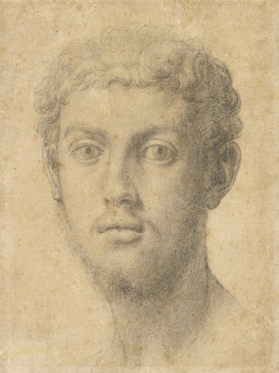 人头 作者 Agnolo Bronzino